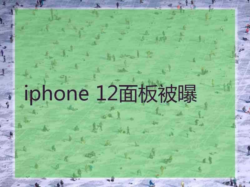 iphone 12面板被曝